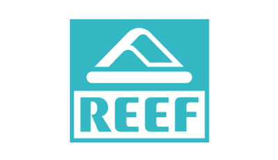 Reef sandals